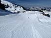 Domaines skiables pour les débutants dans le canton de Schwyz – Débutants Stoos – Fronalpstock/Klingenstock