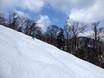 Domaines skiables pour skieurs confirmés et freeriders Hokkaidō – Skieurs confirmés, freeriders Furano