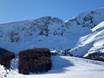 Alpes dinariques: Taille des domaines skiables – Taille Savin Kuk – Žabljak