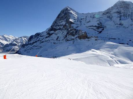 Diversité des pistes Jungfrau Region – Diversité des pistes Kleine Scheidegg/Männlichen – Grindelwald/Wengen