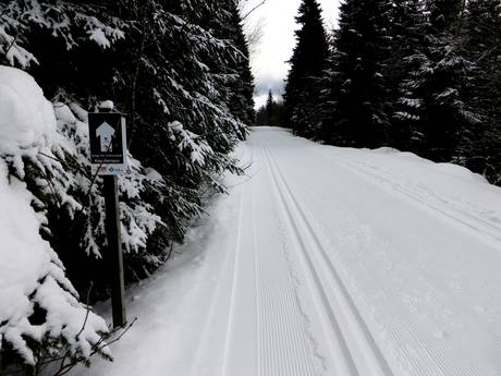 Ski nordique Forêt-Noire du Sud – Ski nordique Todtnauberg