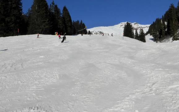 Domaines skiables pour les débutants dans l' Haslital (vallée de l'Hasli) – Débutants Meiringen-Hasliberg
