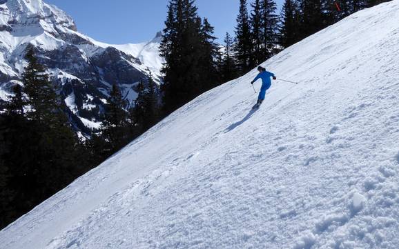Domaines skiables pour skieurs confirmés et freeriders Lenk-Simmental – Skieurs confirmés, freeriders Adelboden/Lenk – Chuenisbärgli/Silleren/Hahnenmoos/Metsch