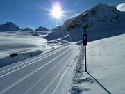 Piste de ski de fond du glacier de Pitztal