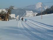 Piste de ski de fond dans la vallée de Wildschönau