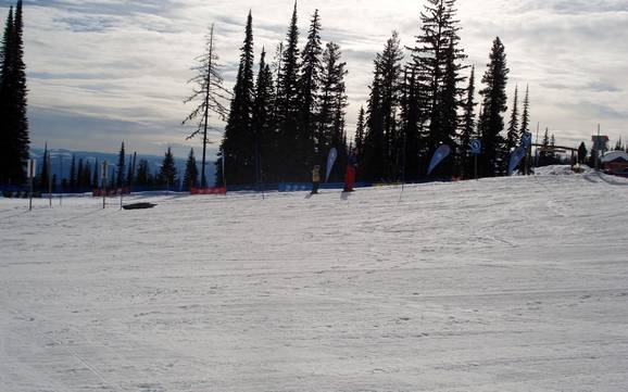 Domaines skiables pour les débutants dans le district régional de North Okanagan – Débutants Silver Star