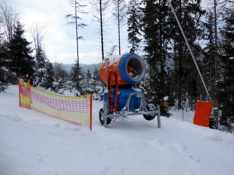 Fiabilité de l'enneigement Beskides – Fiabilité de l'enneigement Szczyrk Mountain Resort