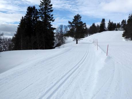 Ski nordique Hordaland – Ski nordique Voss Resort