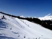 Freizeitticket Tirol: Taille des domaines skiables – Taille Bergeralm – Steinach am Brenner