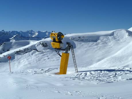 Fiabilité de l'enneigement Alpes nord-orientales – Fiabilité de l'enneigement Damüls Mellau