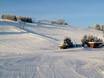 Jura souabe: Taille des domaines skiables – Taille Halde – Westerheim