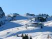 Kitzbüheler Alpen: Taille des domaines skiables – Taille Steinplatte-Winklmoosalm – Waidring/Reit im Winkl