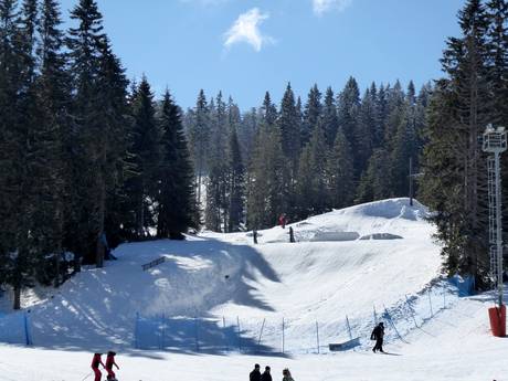 Snowparks Alpes dinariques – Snowpark Kopaonik