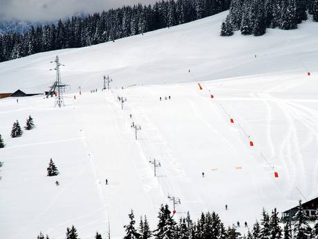 Domaines skiables pour les débutants en Savoie Mont Blanc – Débutants Espace Diamant – Les Saisies/Notre-Dame-de-Bellecombe/Praz sur Arly/Flumet/Crest-Voland