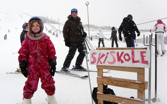 Stations de ski familiales Danemark – Familles et enfants Hedelands Skicenter