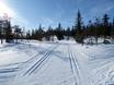 Ski nordique Suède du Nord – Ski nordique Kläppen
