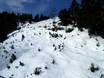 Domaines skiables pour skieurs confirmés et freeriders Chaîne côtière – Skieurs confirmés, freeriders Cypress Mountain