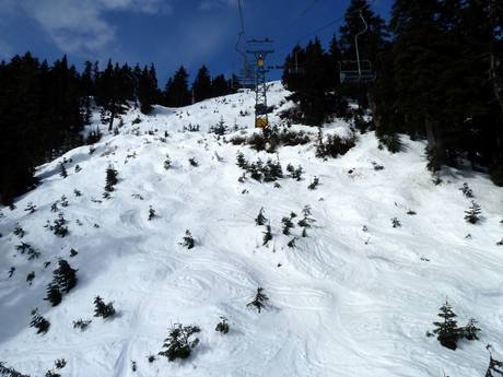 Domaines skiables pour skieurs confirmés et freeriders Lower Mainland – Skieurs confirmés, freeriders Cypress Mountain
