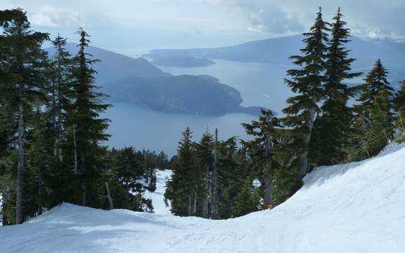 Meilleur domaine skiable en Lower Mainland (basses-terres continentales) – Évaluation Cypress Mountain