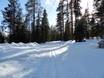 Ski nordique Laponie – Ski nordique Ylläs