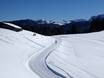 Ski nordique Alpes orientales – Ski nordique Steinplatte-Winklmoosalm – Waidring/Reit im Winkl