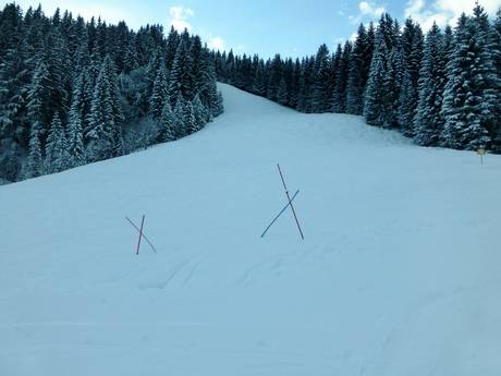 Ammergauer Alpen: Domaines skiables respectueux de l'environnement – Respect de l'environnement Kolbensattel – Oberammergau