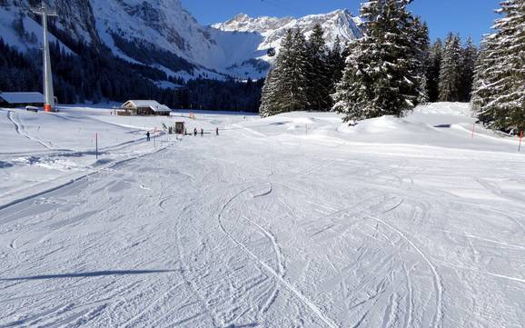 Domaines skiables pour les débutants dans la vallée d'Engelberg – Débutants Titlis – Engelberg