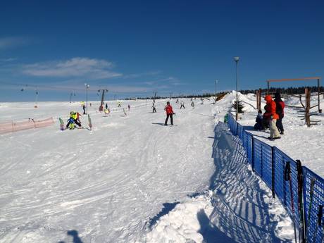Domaines skiables pour les débutants dans les Monts Métallifères tchèques – Débutants Novako – Boží Dar