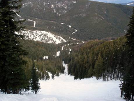 Domaines skiables pour skieurs confirmés et freeriders Thompson Okanagan – Skieurs confirmés, freeriders Silver Star