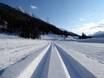 Ski nordique Engadin St. Moritz – Ski nordique Zuoz – Pizzet/Albanas