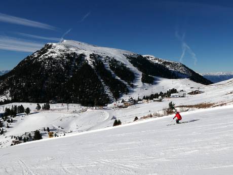 Eggental: Taille des domaines skiables – Taille Latemar – Obereggen/Pampeago/Predazzo