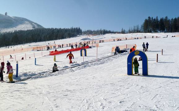 Stations de ski familiales Zwieseler Winkel – Familles et enfants Arber