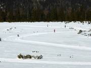 Piste de ski de fond en altitude d'Hochkrimml