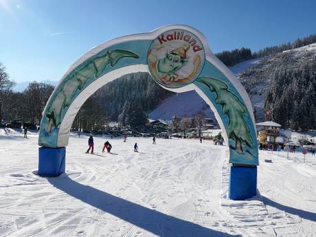 Stations de ski familiales Liezen – Familles et enfants Ramsau am Dachstein – Rittisberg