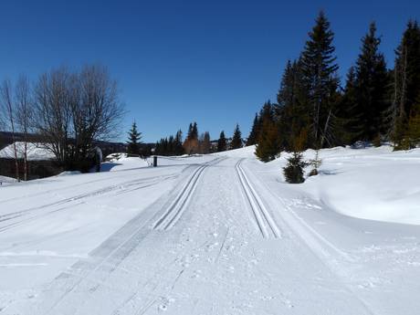 Ski nordique Gudbrandsdalen – Ski nordique Kvitfjell