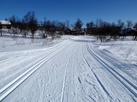 Ski nordique Buskerud – Ski nordique Geilo