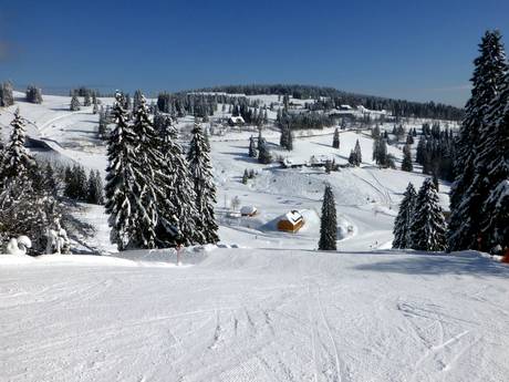Haute-Forêt Noire: Taille des domaines skiables – Taille Feldberg – Seebuck/Grafenmatt/Fahl