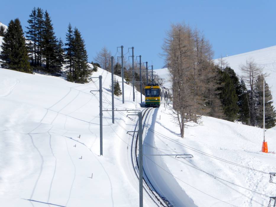 Chemins de fer à crémaillère