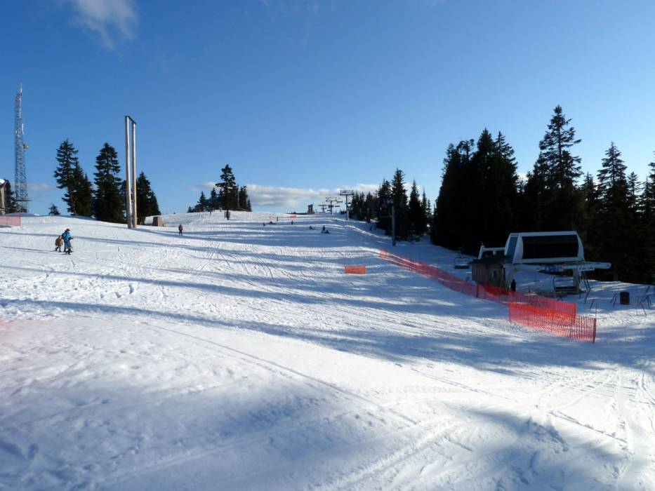 Domaine skiable Grouse Mountain Station de ski Grouse Mountain