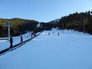 Pente d'entraînement à Masella