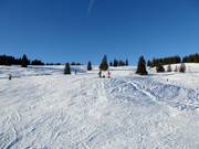 Piste panoramique facile