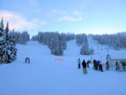 Vue sur les pistes du Mt. Morrisey