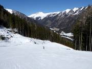 Descente en forêt Mauterndorf (descente vers la vallée)