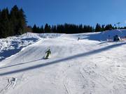 Piste Ochsenhöfle