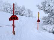 Terrain ouvert et raide