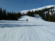 Piste au téléski Sattelkurvenlift