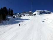 Même les pentes raides sont parfaitement préparées.