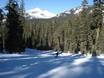 Diversité des pistes Côte Ouest des États-Unis (Pacific States) – Diversité des pistes Sierra at Tahoe