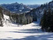 Descente vers la vallée Tauplitz