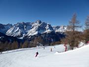 Magnifique piste du Stiergarten